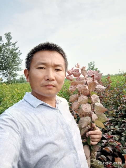 孩子爸的第二张照片--福清相亲服务中心