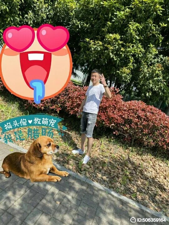 我若不坚强谁替我勇敢的第五张照片--福清相亲服务中心